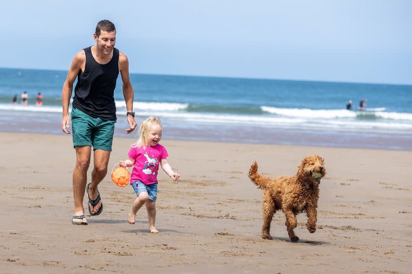 From May 1 until September 30, dogs are only permitted in certain areas of beaches in North Yorkshire, with restrictions in place -Credit:Charlotte Graham