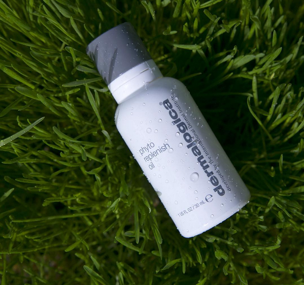 Dermalogica phyto replenish oil