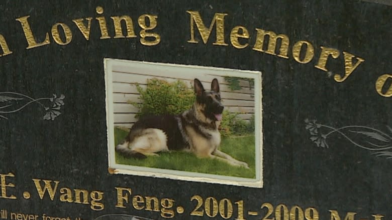 From open-casket funerals to headstones: Pet cemeteries help animal lovers deal with loss