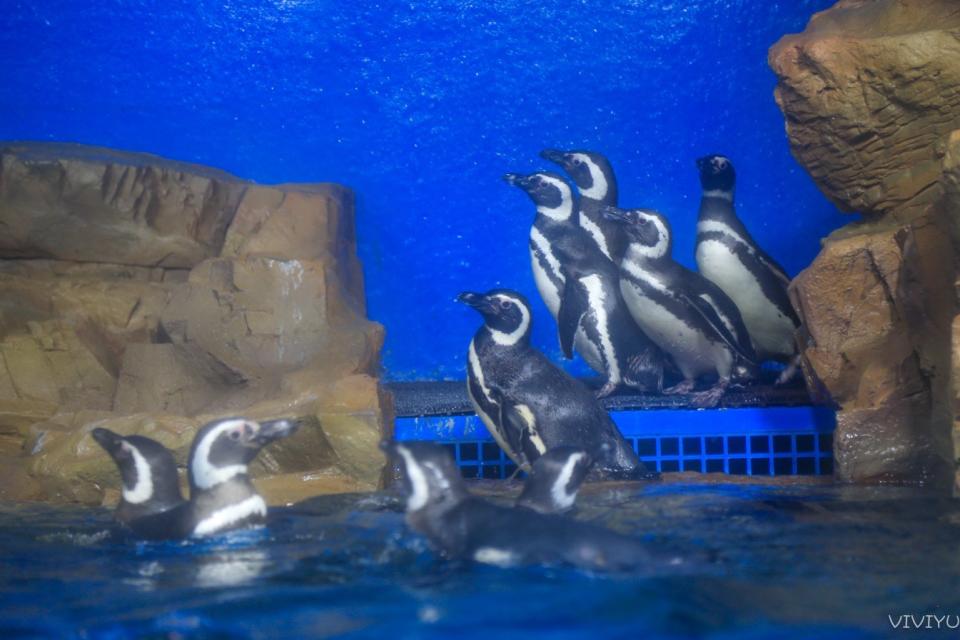 桃園水族館「Xpark」