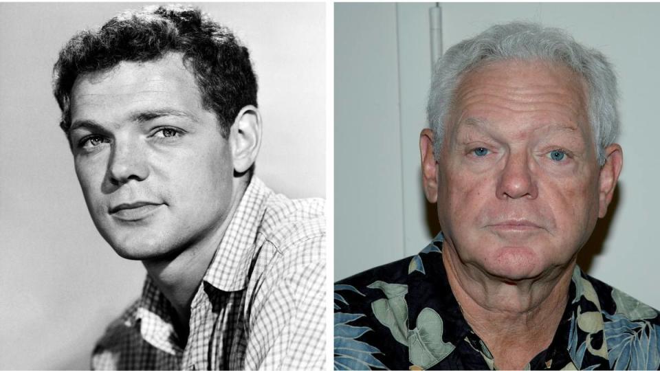 James MacArthur (Danny “Danno” Williams) Hawaii five-O cast