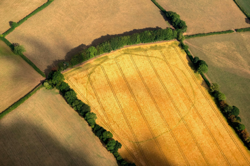 <p>An entrance towards the top of this picture can be seen to a prehistoric enclosure in Churchstanton, Somerset (Historic England) </p>