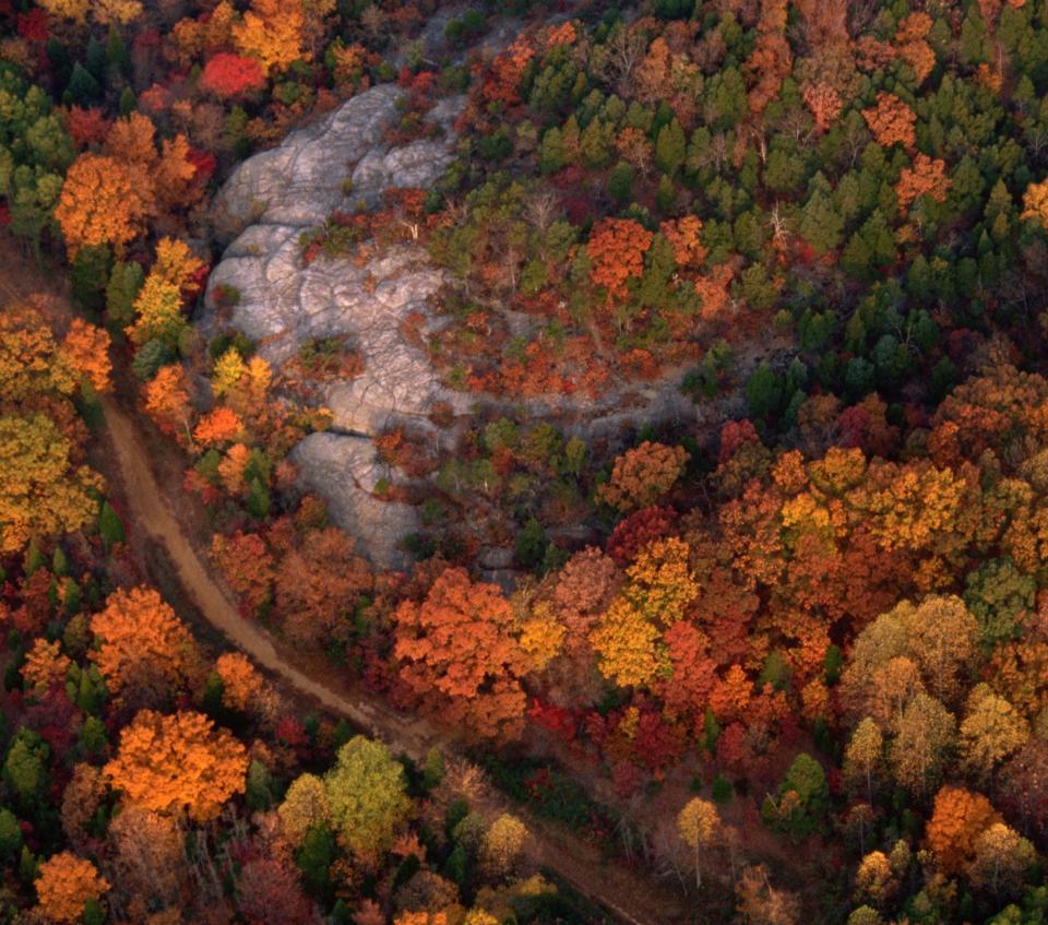 Aerial view of the national forest