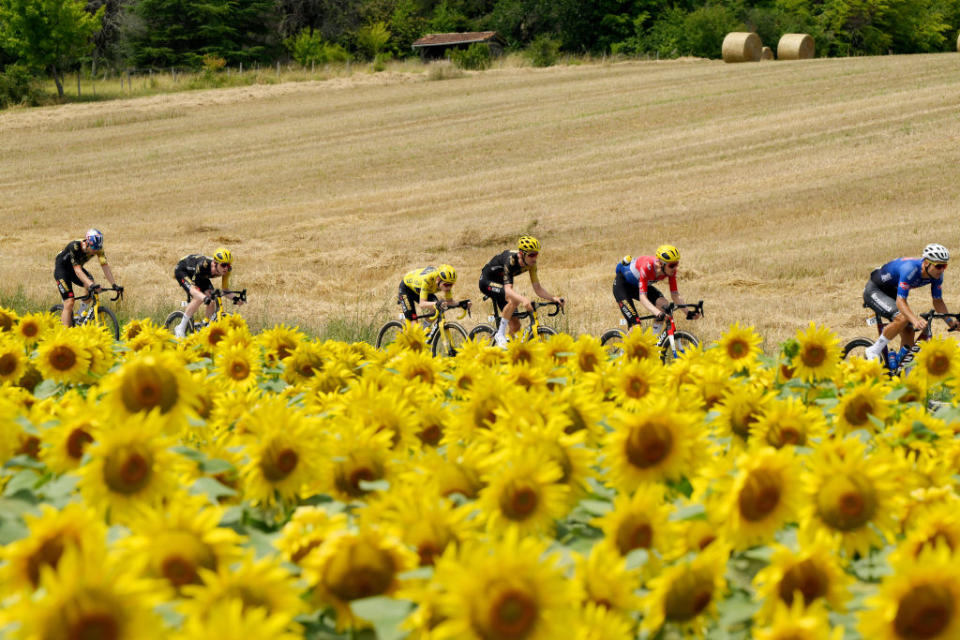LIMOGES FRANCE  JULY 08 Jonas Vingegaard of Denmark and Team JumboVisma  Yellow Leader Jersey and a general view of the peloton passing through a sunflowers field during the stage eight of the 110th Tour de France 2023 a 2007km stage from Libourne to Limoges  UCIWT  on July 08 2023 in Limoges France Photo by David RamosGetty Images