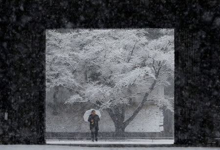 A man holding an umbrella makes his way in the heavy snow at the Imperial Palace in Tokyo, Japan January 22, 2018. REUTERS/Kim Kyung-Hoon