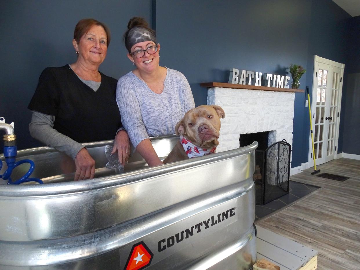 Cindy Birtcher (left) and her daughter Summer Shaver groom Shaver's dog, Sherlock, at It's Bath Time on Tuesday. The grooming shop opened on Maple Avenue this week.