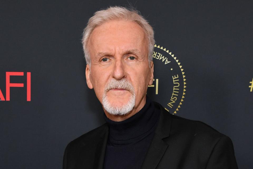 <p>Jon Kopaloff/Getty </p> James Cameron appears at the AFI Awards Luncheon in 2023