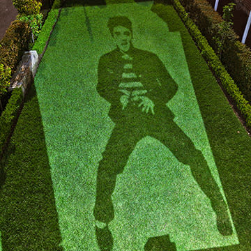 Clipped lawn art