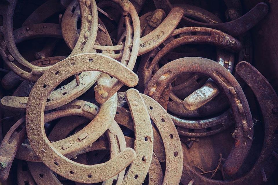 Horseshoes