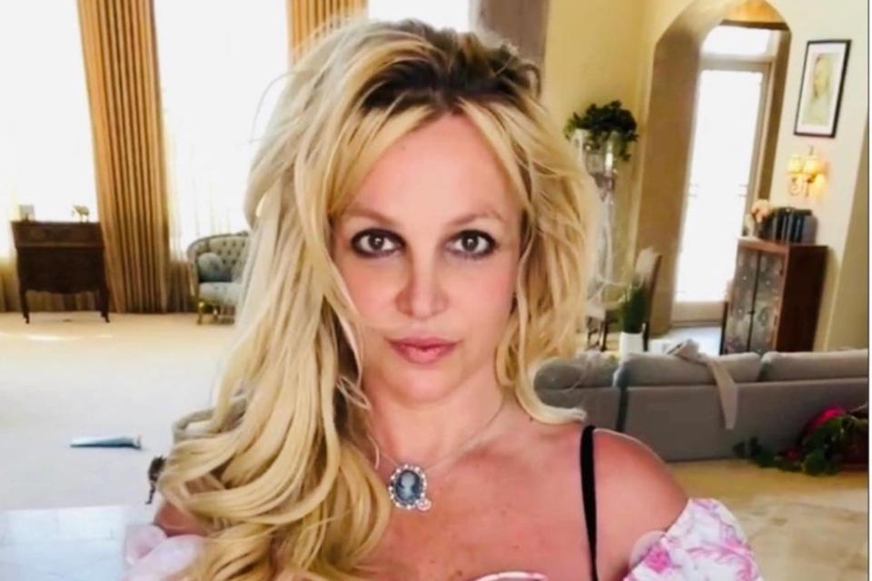 Britney Spears has confided her fears about becoming a mother again (Britney Spears / Instagram)