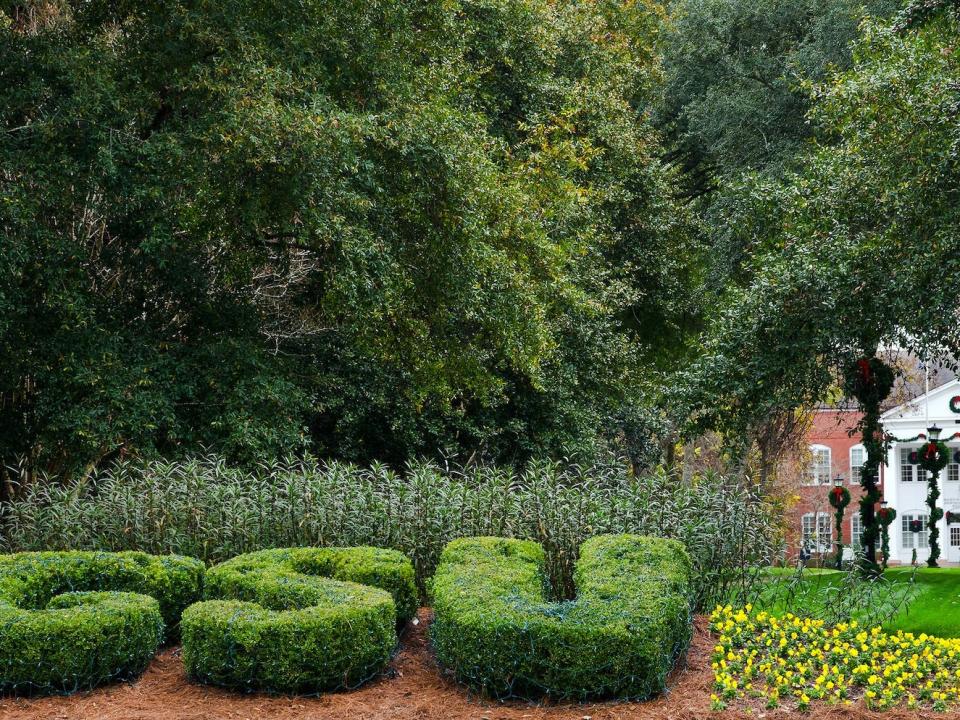 Georgia Southern University