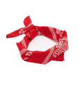 <p>Paisley Print Bandana, $10,<a rel="nofollow noopener" href="http://us.topshop.com/en/tsus/product/paisley-print-bandana-6670034" target="_blank" data-ylk="slk:topshop.com;elm:context_link;itc:0;sec:content-canvas" class="link "> topshop.com</a> </p>