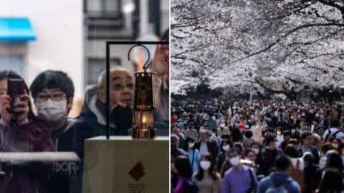 奧運聖火繼續在日本巡迴展覽，日本民眾不管疫情仍然到上野公園賞櫻花。（圖／取自推特）