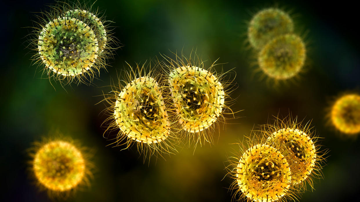  Illustration of yellow, semispherical bacterial cells with little tentacles. 