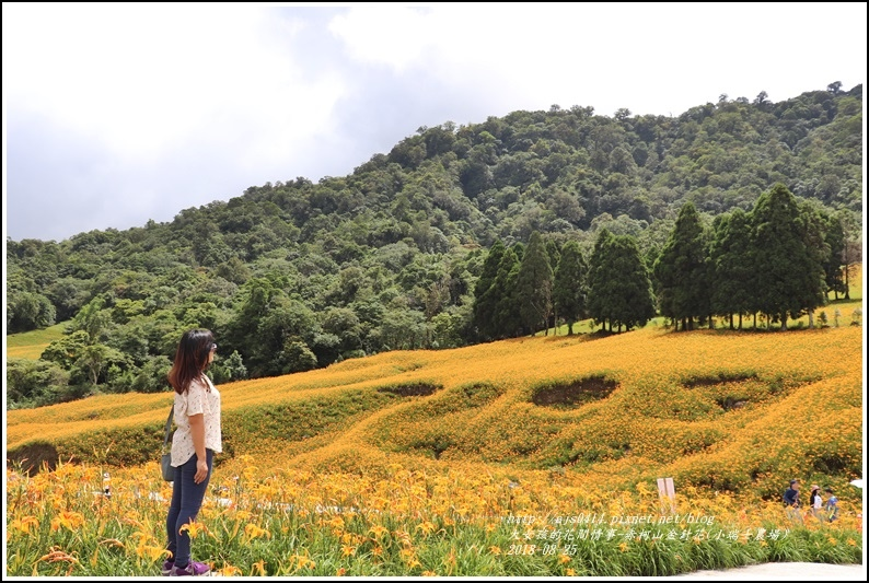 赤柯山金針花(小瑞士農場)-2018-08-33.jpg