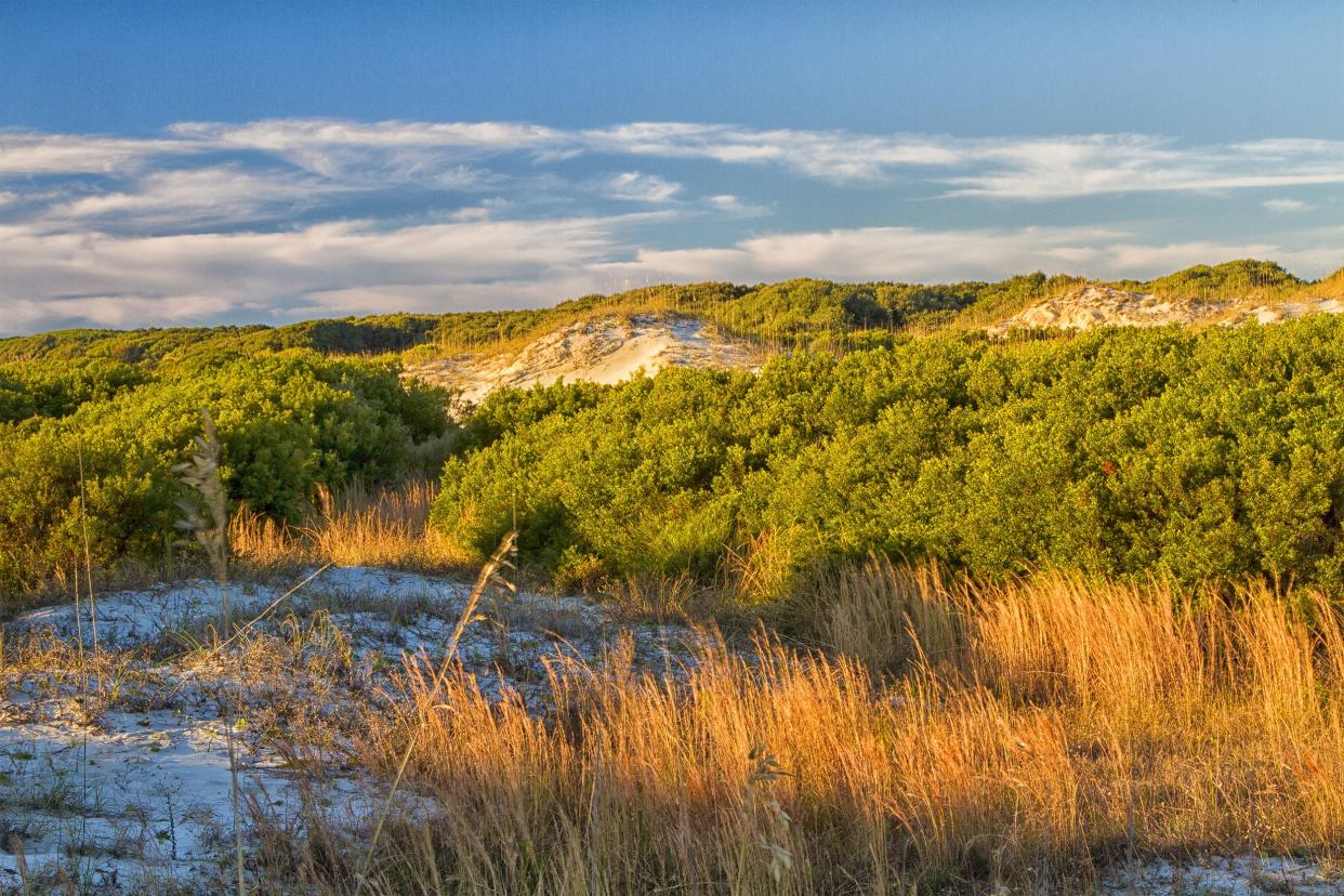 Cumberland Island National Seashore