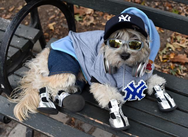 Incredible Halloween Costumes for the New York Yankees