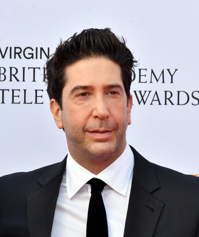 David Schwimmer denies Jennifer Aniston dating rumours