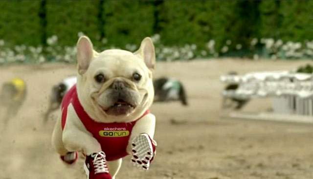 Skechers' Dog Racing Commercial — Super Bowl 2012