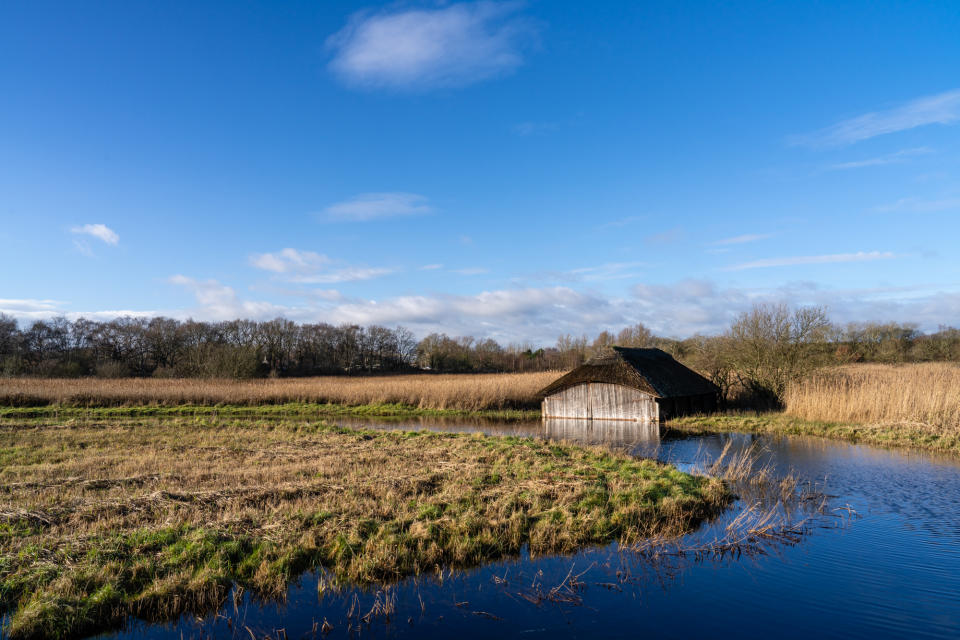 A river and sunny landscape taken with the Sony A7R V