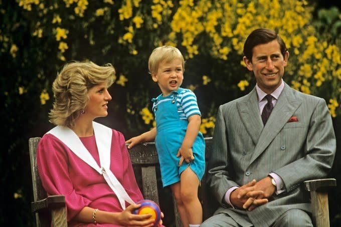 prince william princess diana charles