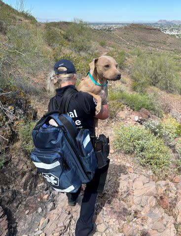 <p>Arizona Humane Society</p> A rescuer carries Bright Eyes down the mountain.