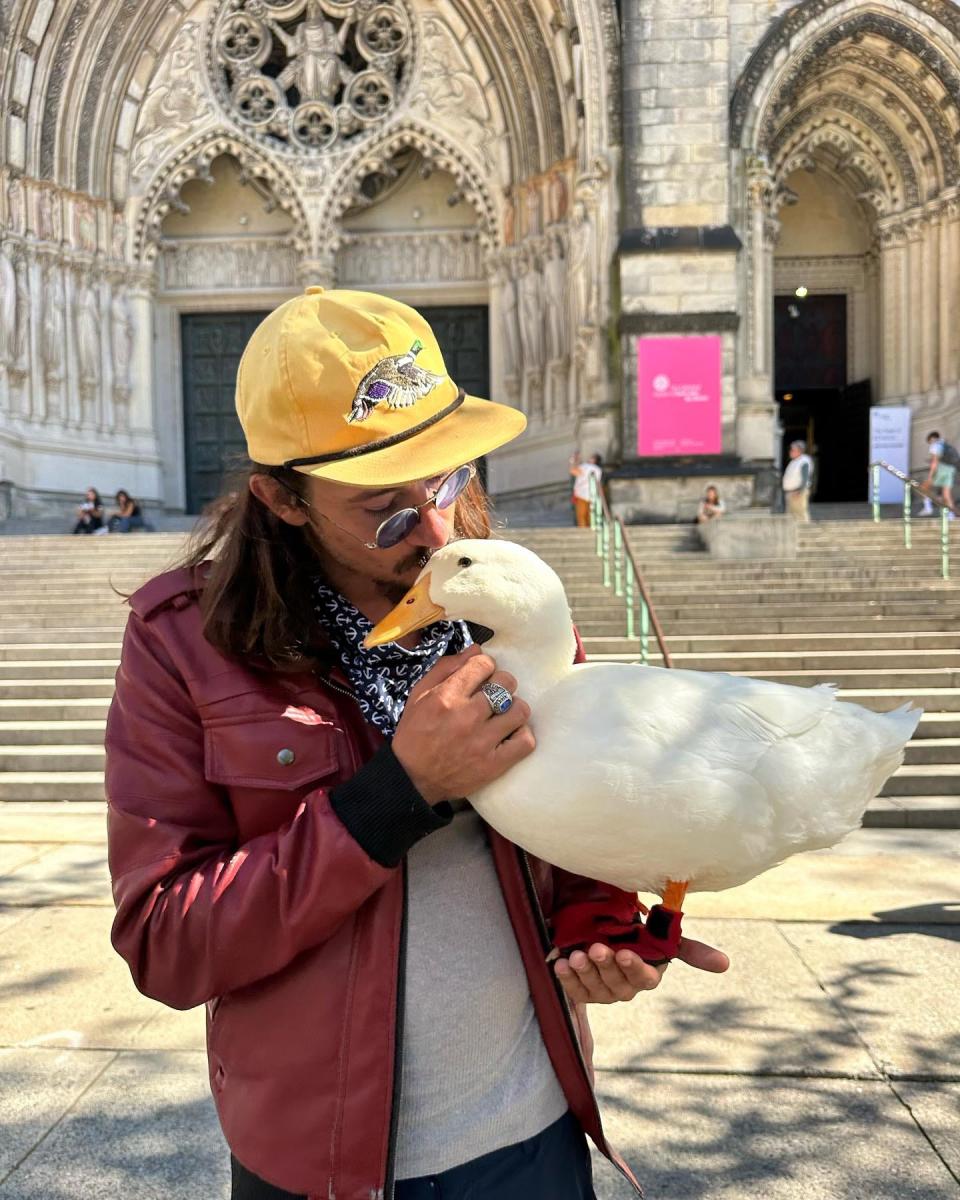 Wrinkle the duck has become internet-famous by traveling all over the country.