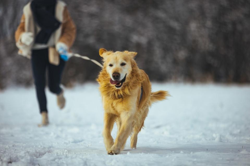 Woman running with her pooch.