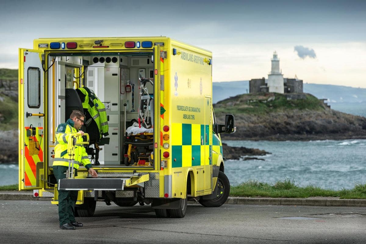 The Welsh Ambulance Service is urging residents to ensure they are prepared for the bank holiday <i>(Image: Welsh Ambulance Service University Trust)</i>