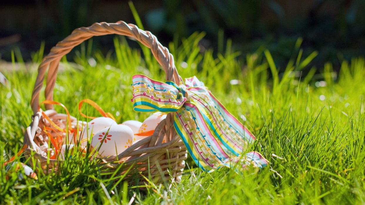 easter egg hunt, basket in garden