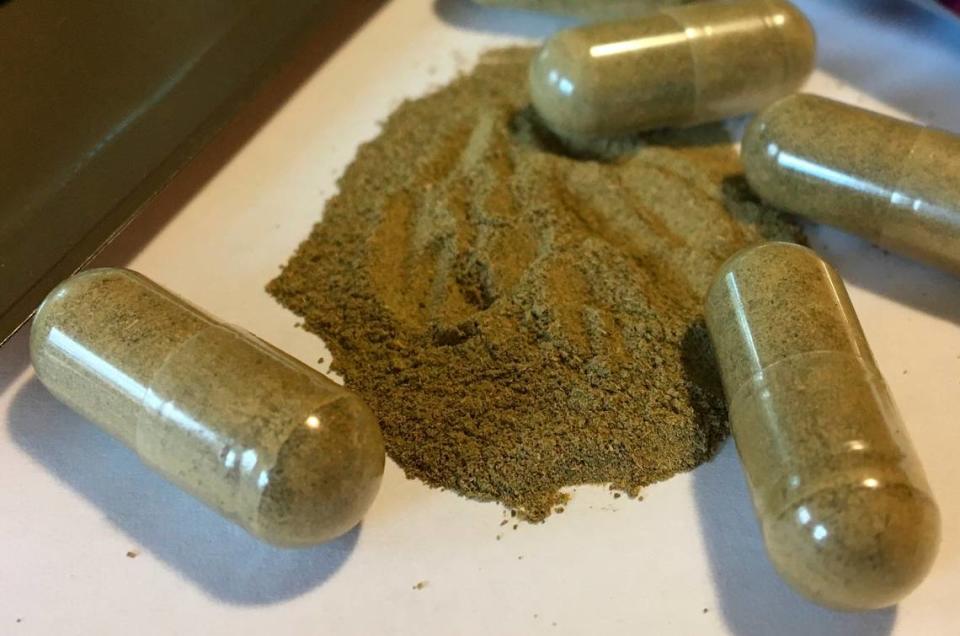 This Sept. 27, 2017 file photo shows kratom capsules in Albany, N.Y. A U.S. government report released Thursday, April 11, 2019 said the herbal supplement was a cause in 91 overdose deaths in 27 states.