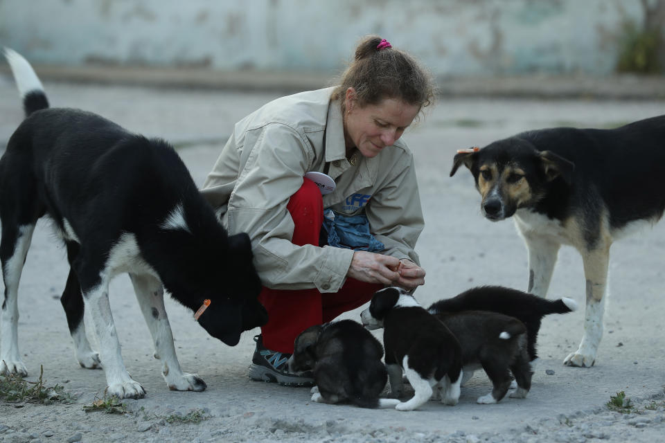 <p>Marie-Louise Chenery, who is from San Diego,and is a volunteer with the Dogs of Chernobyl initiative, tends to stray puppies near the Chernobyl nuclear power plant on Aug. 17, 2017, near Chernobyl, Ukraine. (Photo: Sean Gallup/Getty Images) </p>