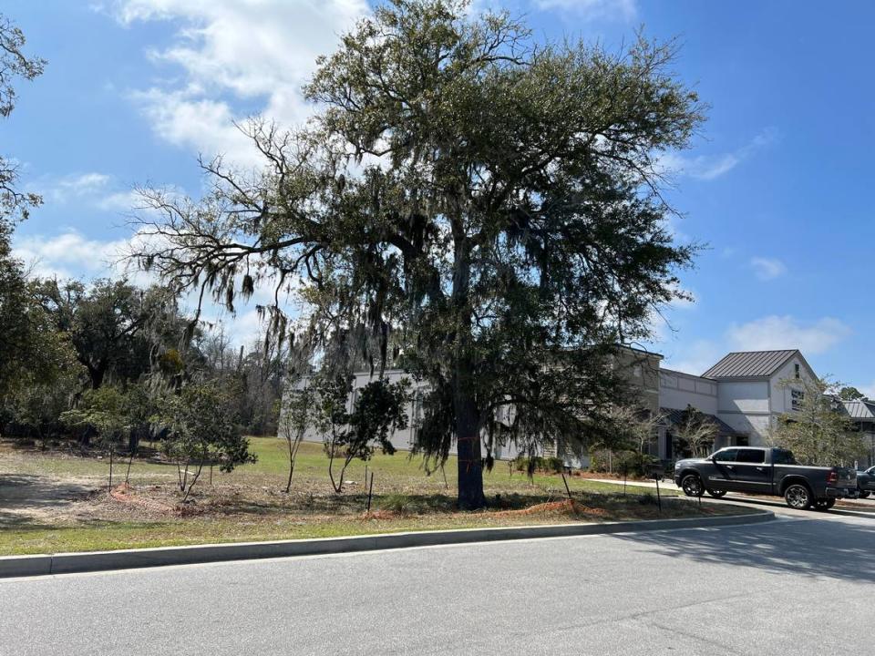 A three-acre vacant property at Sea Turtle Marketplace on Hilton Head Island is where Aldi plans to build a new grocery store.