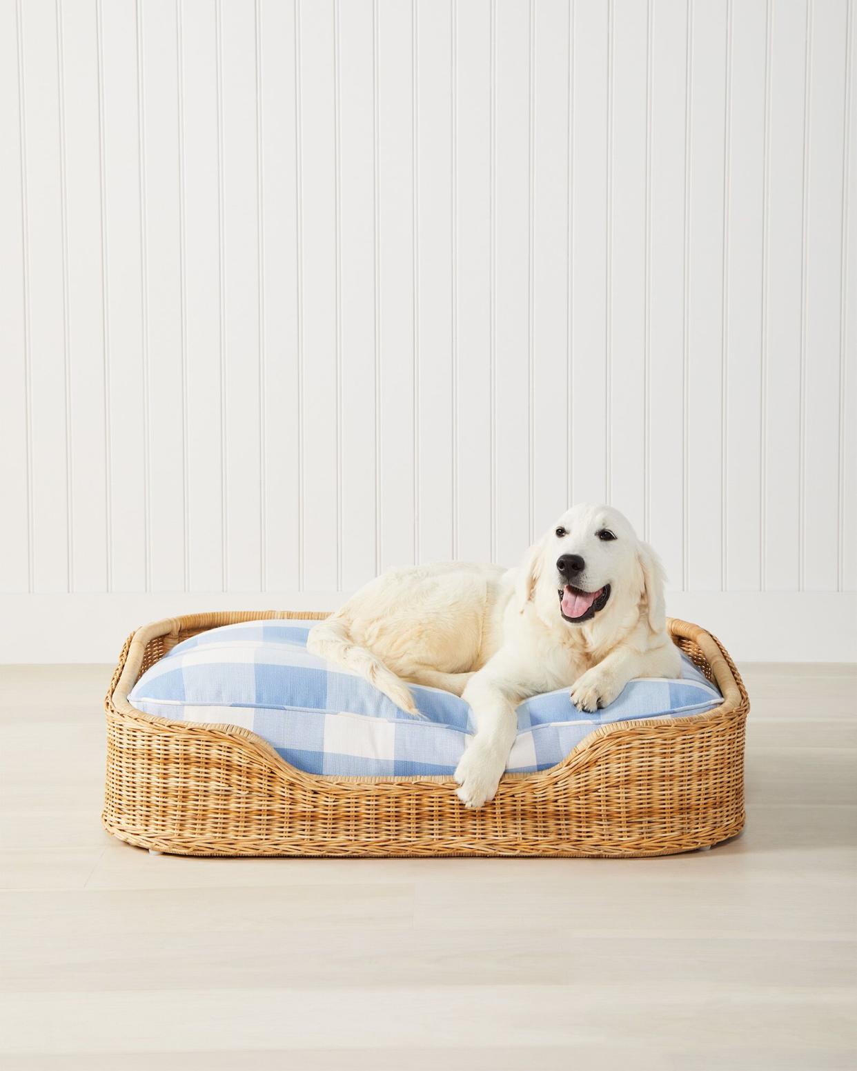 <p><a href="https://go.redirectingat.com?id=74968X1596630&url=https%3A%2F%2Fwww.serenaandlily.com%2Fwicker-dog-bed%2Fm13653.html&sref=https%3A%2F%2Fwww.veranda.com%2Fshopping%2Fg41549516%2Fgifts-for-dog-lovers%2F" rel="nofollow noopener" target="_blank" data-ylk="slk:Shop Now;elm:context_link;itc:0;sec:content-canvas" class="link rapid-noclick-resp">Shop Now</a></p><p>Wicker Dog Bed</p><p>serenaandlily.com</p><p>$648.00</p><span class="copyright">Serena & Lily</span>