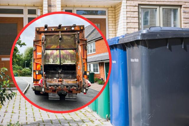 Chelmsford City Council fined £80,000 after father killed by reversing bin lorry <i>(Image: Getty)</i>