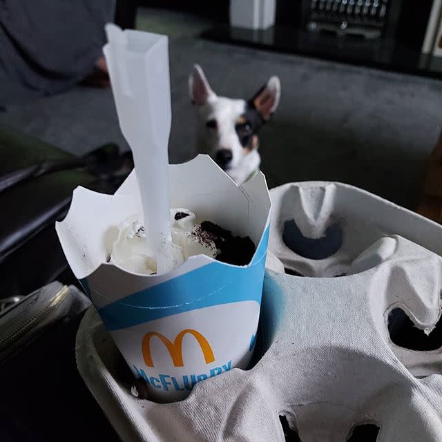 9) Top tier: McFlurry (again, dog not included), 29% of the votes