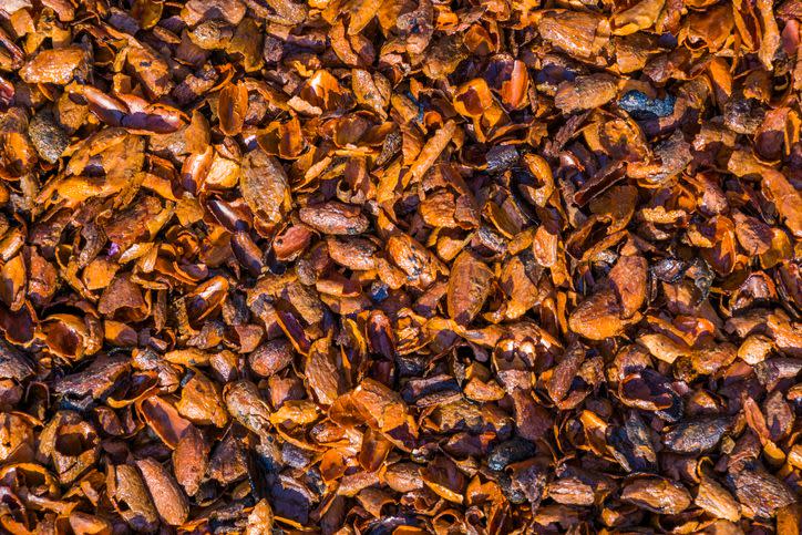 best mulch for flower beds cocoa shell