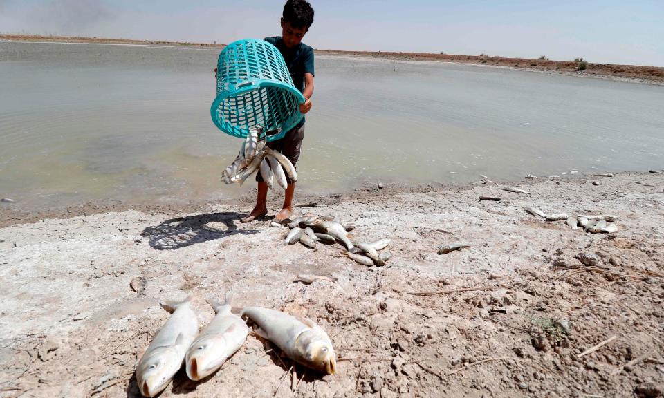 <em>Polución, contaminación y saqueo de recursos: la humanidad como el depredador más voraz.</em>