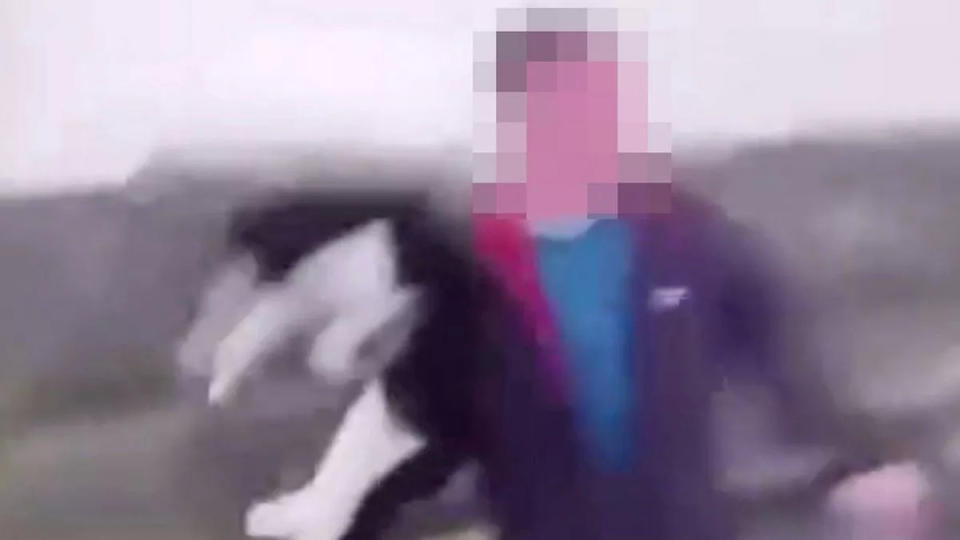 Schreckliches Video im Internet geteilt, das zu zeigen scheint, wie eine Katze von einer Klippe geworfen wird