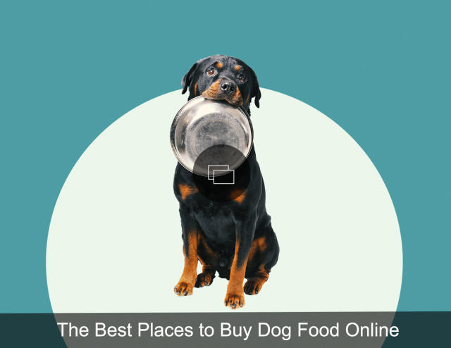 Best online dog food clearance sites