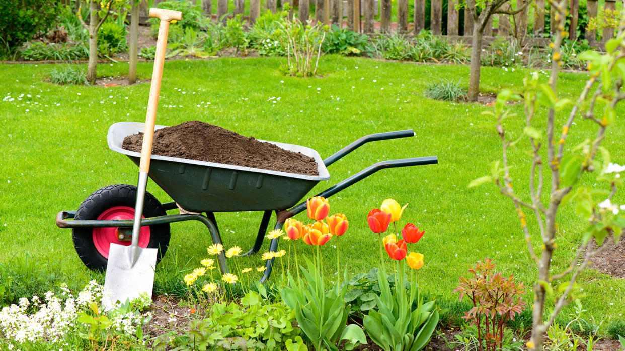  compost-filled wheelbarrow on a lawn 