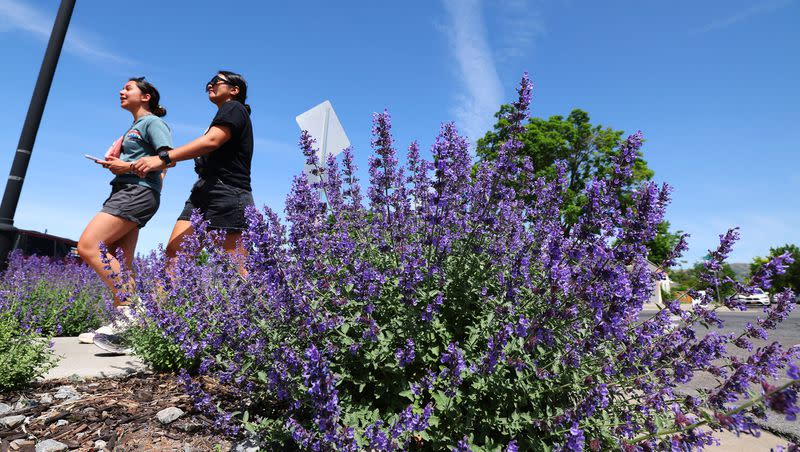 Walkers travel past colorful plants in the 9th and 9th area of Salt Lake City on Wednesday, May 31, 2023. Exercise is a good way to combat Alzheimer’s, according to a new study.