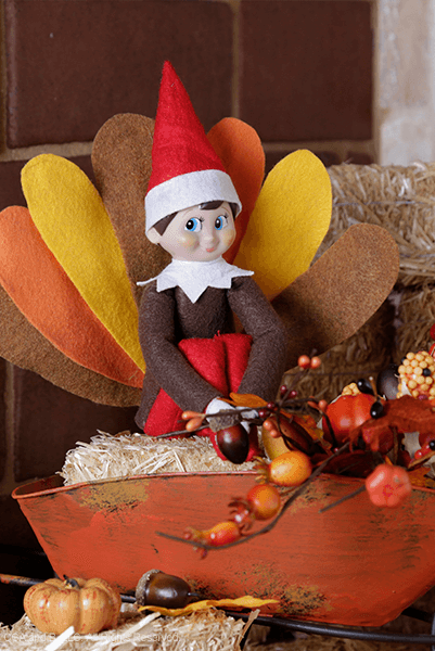 Thanksgiving Turkey Elf