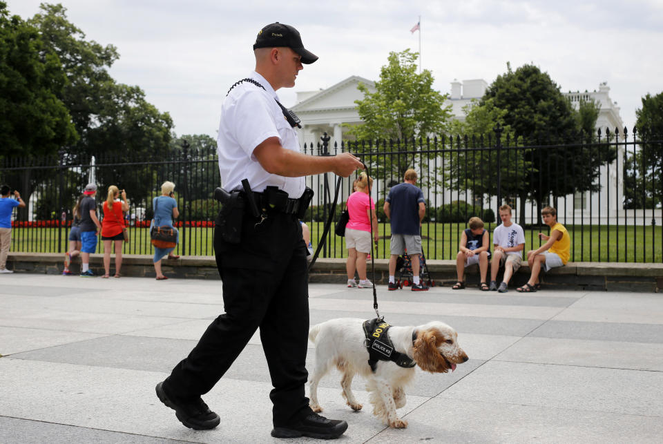 A Uniformed Division Secret Service officer patrols with a dog on Pennsylvania Avenue in front of the White House in Washington, Wednesday, July 9, 2014. The Secret Service has started deploying specialized canine units to help protect the area around the White House grounds, where tourists flock day and night to catch a glimpse of 1600 Pennsylvania Ave. Although the Secret Service has used police dogs since 1976 to pre-screen areas for presidential visits, this is the first time theyâre being broadly deployed among the general public. (AP Photo/Charles Dharapak)