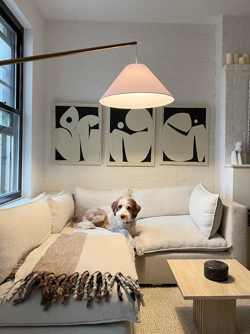Dog on corner couch under hung artwork in neutral room with small coffee table and lamp.