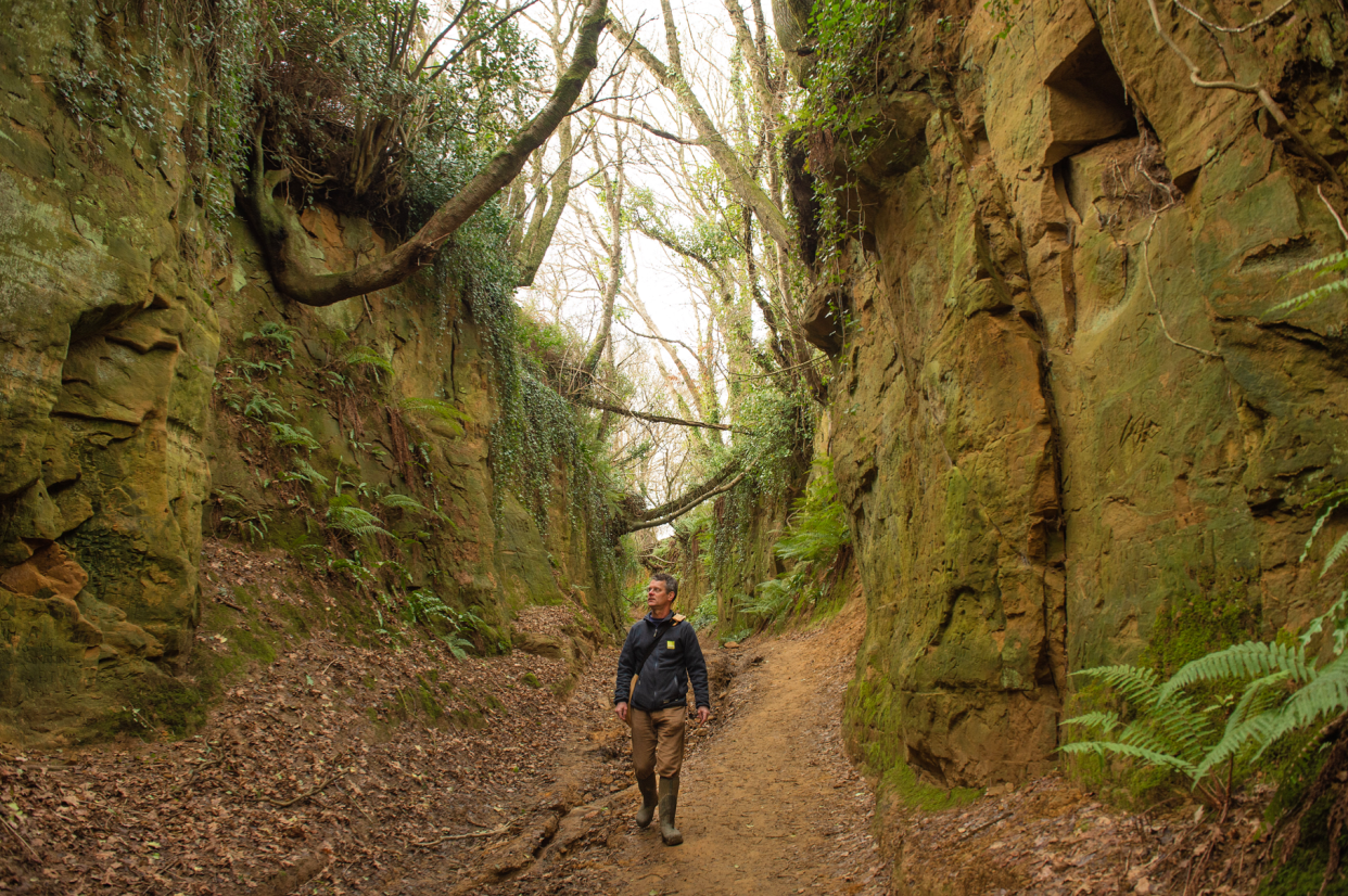 Sunken lanes are roads or tracks formed by the passage of people, vehicles, animals and running water. (Solent)