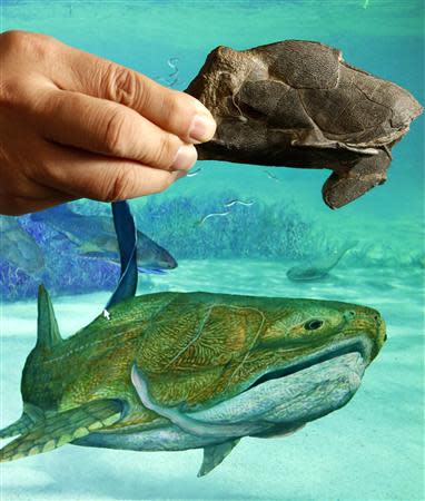 Min Zhu, professor at the Chinese Academy of Sciences' Institute of Vertebrate Paleontology and Paleoanthropology, shows a fossil of the heavily armoured fish, Entelognathus primordialis, in front of a computer screen showing a life restoration image of the fish during a photo opportunity at his laboratory in Beijing September 27, 2013. REUTERS/Kim Kyung-Hoon