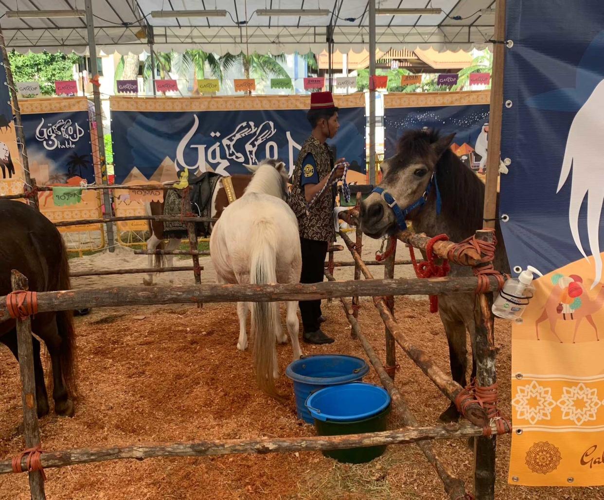 This is the area where the six ponies were housed at the Geylang Serai Ramadan Bazaar. (PHOTO: Yahoo News Singapore)
