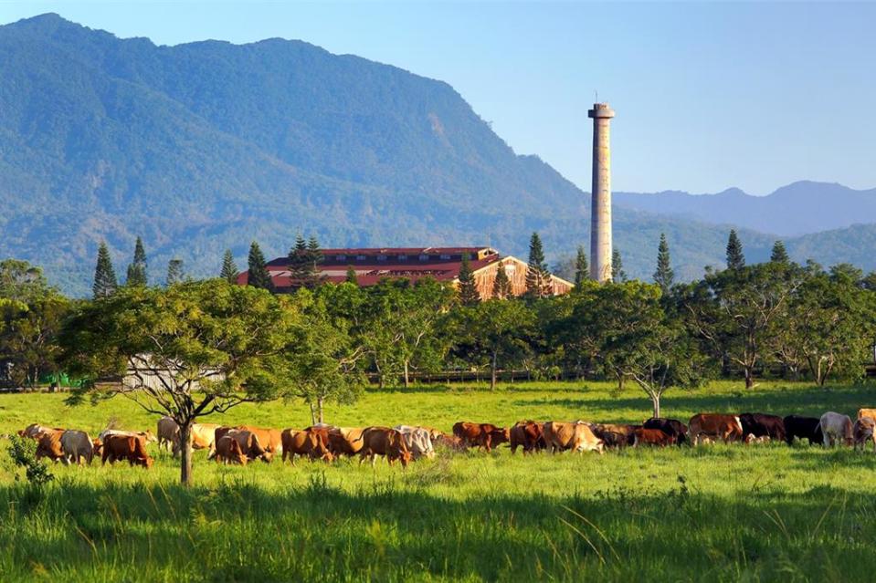 台灣國際熱氣球嘉年華本月舉辦，台糖台東池上牧野度假村(圖)與花蓮日式旅館兩據點，打出最高優惠6折住房活動。(台糖提供)