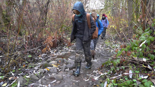 Children trek to class at the Trackers Earth Forest School in the woods of Oregon.  / Credit: CBS News